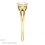 Princess Cut Forever One Moissanite Engagement Ring #GTJ1066-square-fo-y