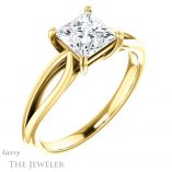 Princess Cut Forever One Moissanite Engagement Ring #GTJ1183-square-fo-y