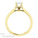 Emerald Cut Forever Brilliant Moissanite Engagement Ring #GTJ937-emerald-fb-y