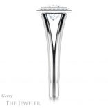Princess Cut Forever One Moissanite Engagement Ring #GTJ964-square-fo-w