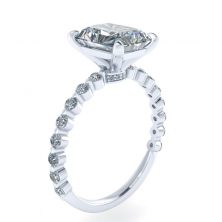 GTJ3761-radiant-w-3