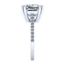 GTJ3834-w-5